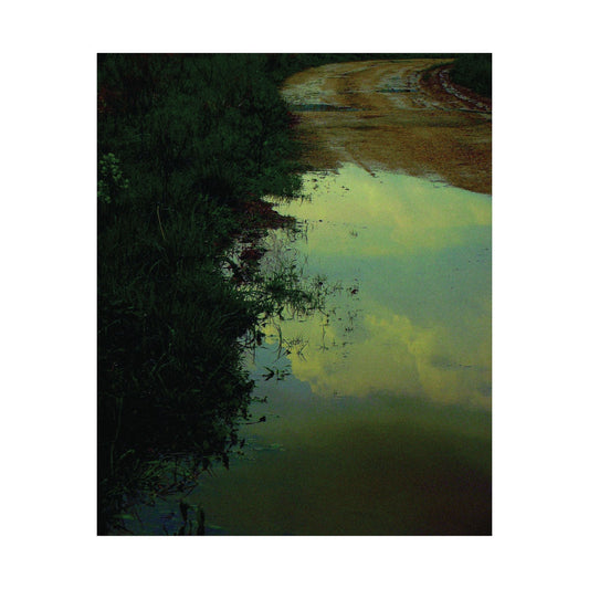 Cloud Mirror – Rain Puddle Reflection Photography Print