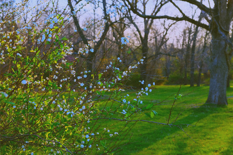 Fine Art Photography & Prints