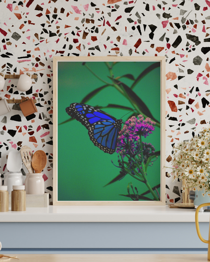 Stillness in Bloom – Blue Butterfly Photography Print