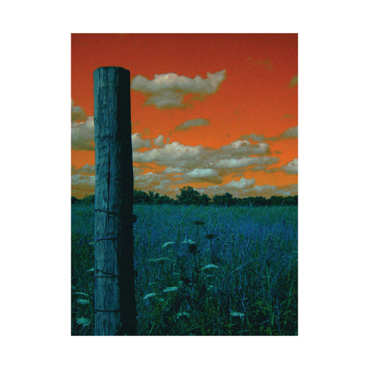 Through the Fence – Country Field Photography Print