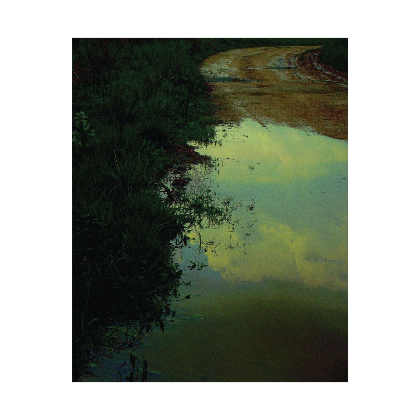 Cloud Mirror – Rain Puddle Reflection Photography Print